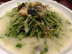 -院里寻菜·精致庭院菜(观沙岭店)