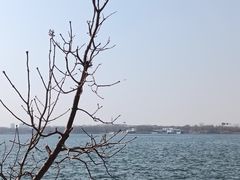 -丁香湖公园