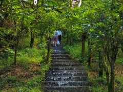 -广州市帽峰山景区