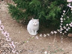 -山东大学(兴隆山校区)