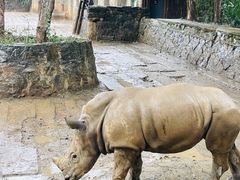 -杭州野生动物世界