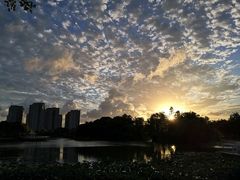 -新江湾城公园