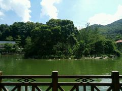 -广州市帽峰山景区