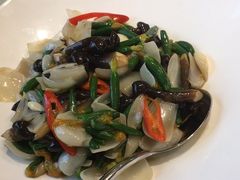 -海派美食·家宴海鲜青岛菜·石锅鲽鱼头(东方城店)