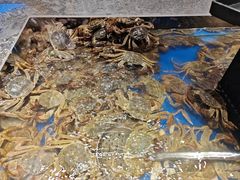 -亚马逊海鲜自助(梅溪湖步步高店)