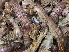 -东戴河风景区-止锚湾