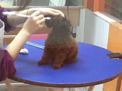 -惠康宠物医院(华能路店)