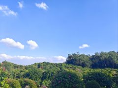 -东莞植物园