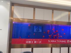 -牙博士口腔品牌连锁(杨浦店)