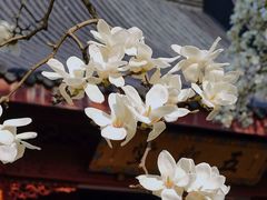 -杭州上天竺法喜讲寺