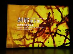 -中华赏石园