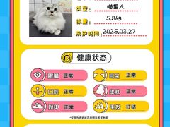 -BABIT巴比特宠物(MOMOPARK店)