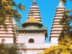 -北京石刻艺术博物馆(五塔寺)