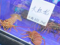 -亚龙湾亚泰商业街