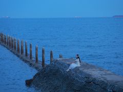 -青岛第二海水浴场