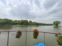 -上海鲜花港