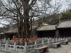-潭柘寺景区