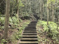 -龙湾潭国家森林公园