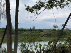 -白鹭湾湿地公园