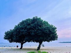 -南丫岛