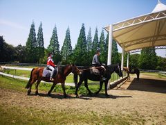 -太阳岛度假酒店