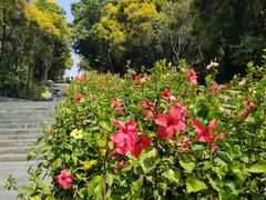 -深圳国际园林花卉博览园