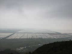 农田-江门古兜温泉小镇