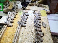 -珠光市场(文德南路)