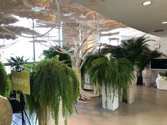 -哈尔滨圣安口腔专科医院