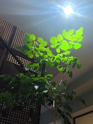 -香秀空间科技抗衰·美容中心