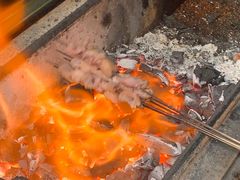 -马健烤肉(东丽大厦店)