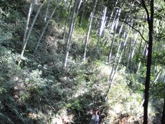 -黄公望隐居地