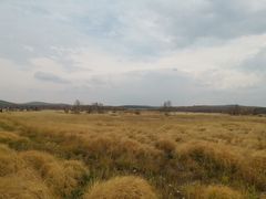 -塞罕坝国家级自然保护区