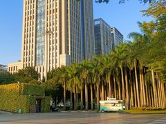 -深圳国际园林花卉博览园