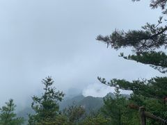 -洛阳白云山景区