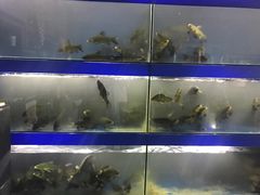 -鱼香饭店