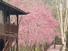 -途中饭店(开化店)