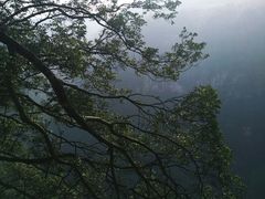 -赤水丹霞旅游区·佛光岩