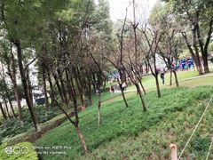 -重庆市江北嘴中央商务区中央公园