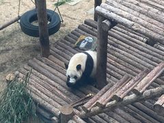 -大连森林动物园