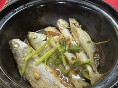-蛇口康乐快餐鱼仔档(翠苑小区店)