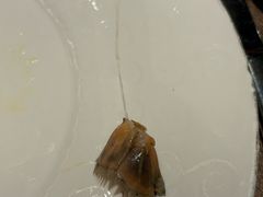 -云厨·高空西餐厅(成都瑯珀·凯悦臻选酒店)