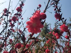 -大兴滨河森林公园