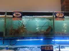 水产区-南海渔家•海鲜•正宗海南菜(海棠湾店)