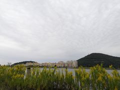 -平湖九龙山旅游度假区