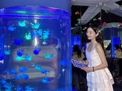 -重庆欢乐海底世界