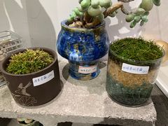-智慧湾科创园