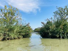 -泗洪洪泽湖湿地景区