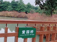 -上海滨江森林公园
