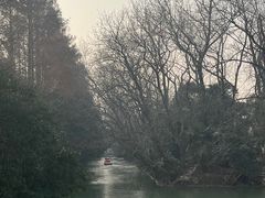-上海滨江森林公园